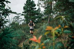 BIB: 
                            <button type="button" onclick="openModal(25257724)" class="btn btn-primary btn-sm float-right btn-popup" data-toggle="modal" data-target=".modal-high-quality">
                        <i class="fas fa-shopping-cart"></i> Add to Cart
                    </button>
                                            <button type="button" onclick="isThisMe(25257724, true)" class="btn btn-success btn-sm float-right btn-popup btn-isme hidden" data-toggle="tooltip" data-placement="bottom" title="นี่คือรูปของคุณใช่ไหม คลิกที่นี่เพื่อเอาเข้าอัลบั้ม">
                        <i class="fas fa-plus"></i> Add to album
                    </button>
                    <button type="button" onclick="isThisMe(25257724, false)" class="btn btn-warning btn-sm float-right btn-popup btn-isnotme hidden">
                        <i class="fas fa-ban"></i> Remove from album
                    </button>